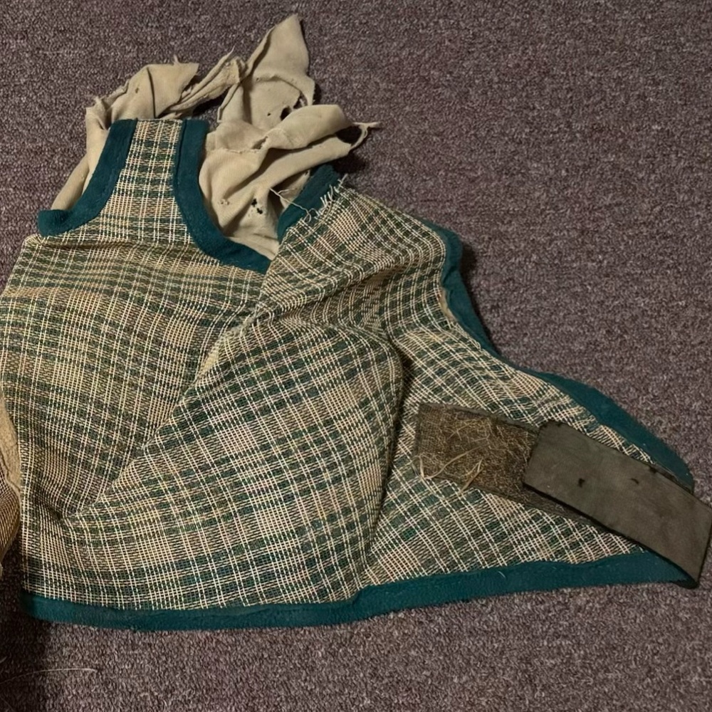 Horse Fly Mask